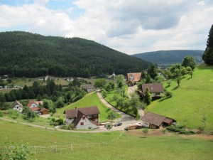Wanderung Baiersbronn